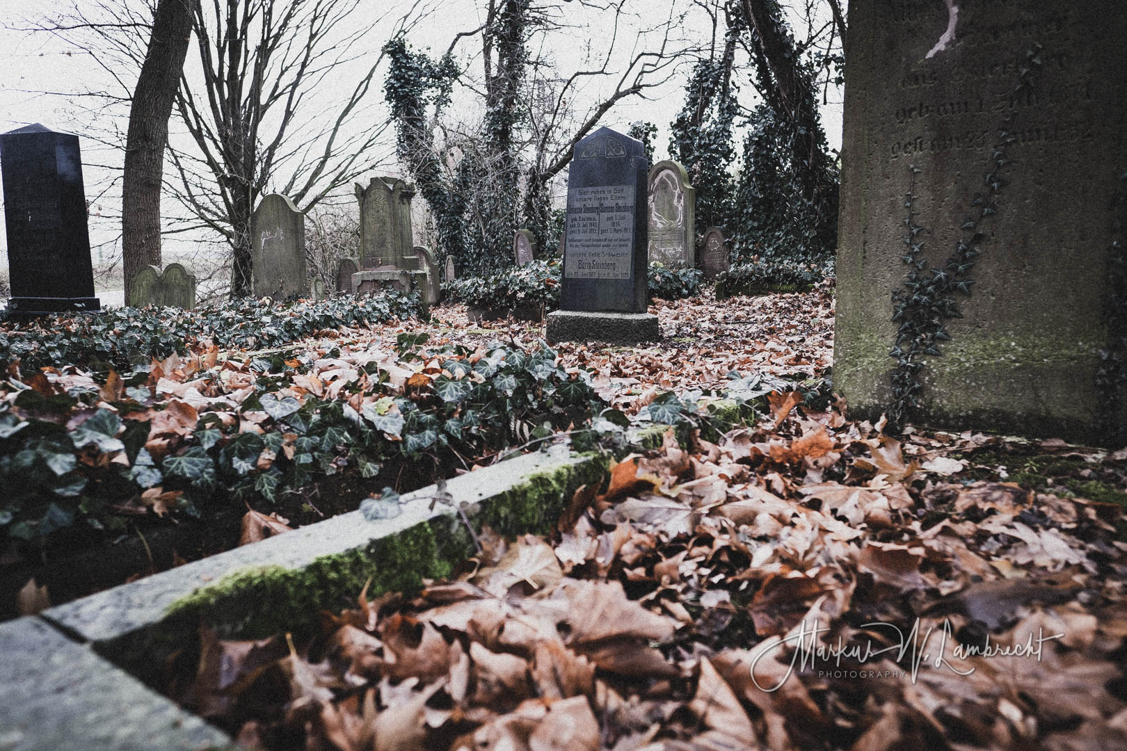 Dassel, Jüdischer Friedhof